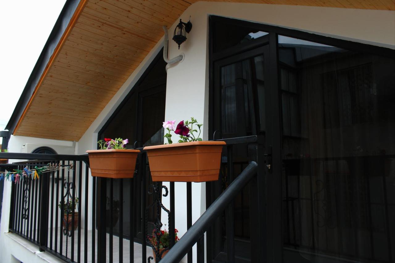 Nitsa Guest House Gori Eksteriør billede